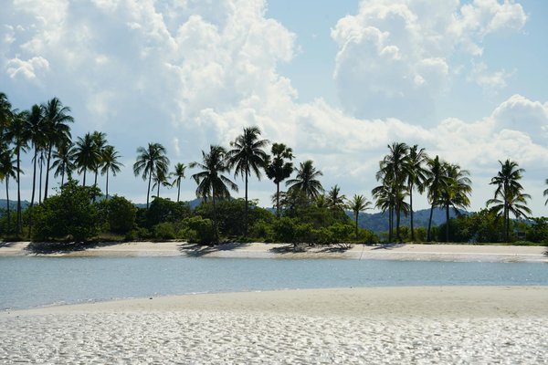 Dessert emblématique : découvrez la pavlova et ses racines néo-zélandaises